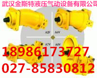 AZ1664160310 司機(jī)側(cè)左下護(hù)板總成